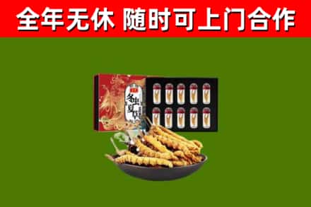 市中烟酒回收冬虫夏草礼盒.jpg