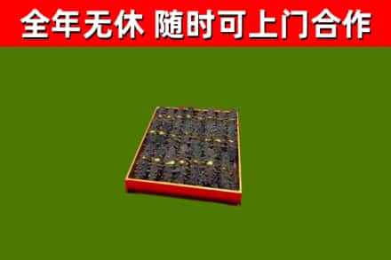 市中回收海参